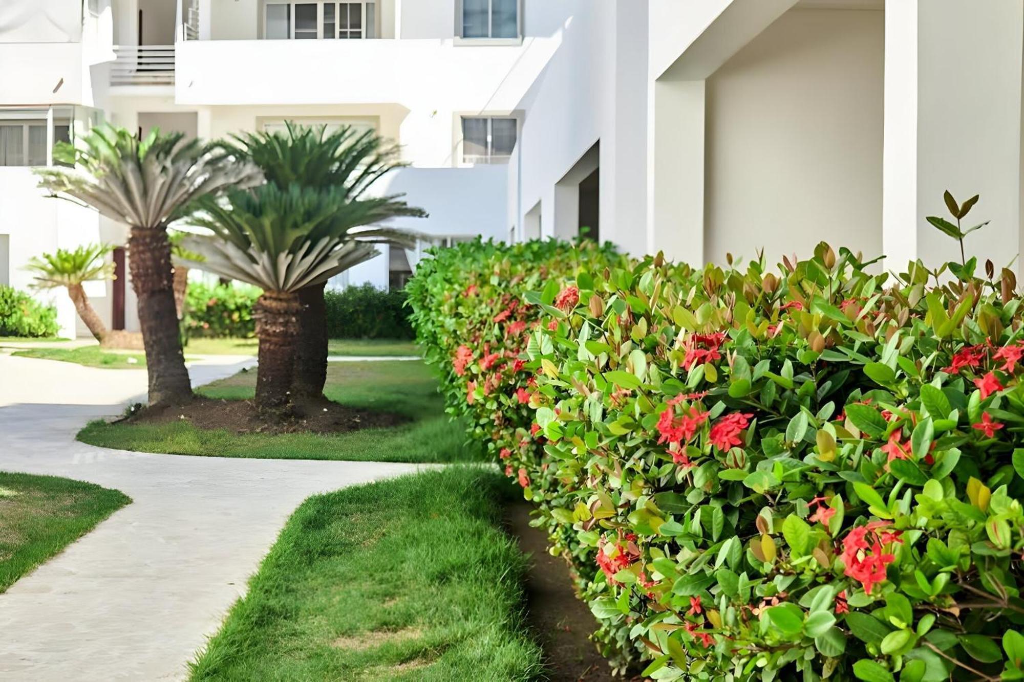 Los Corales Beach Village Punta Cana - The Original ภายนอก รูปภาพ